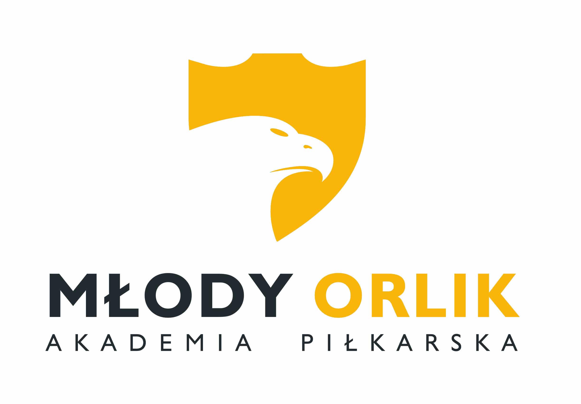 Logo-pomarancz-oryginal-ze-strony.jpg